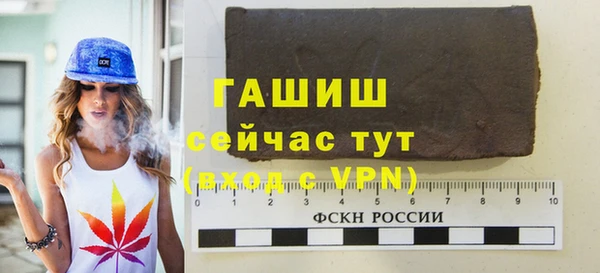 индика Арсеньев