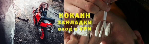 индика Арсеньев