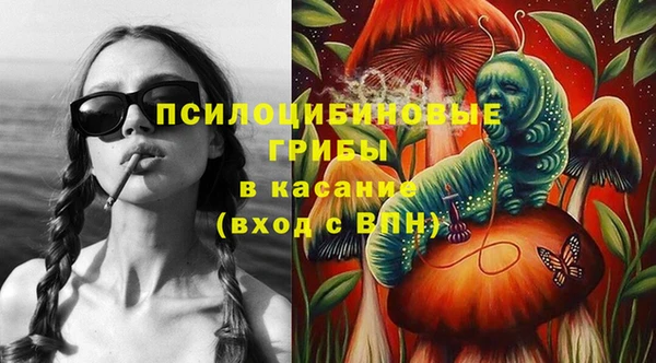 прущие грибы Армянск