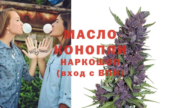 индика Арсеньев