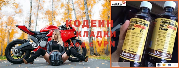 индика Арсеньев