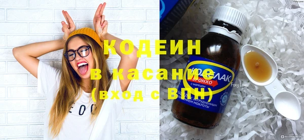 индика Арсеньев