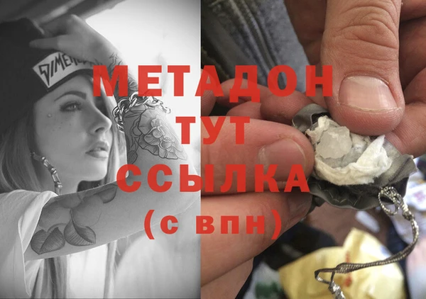 индика Арсеньев